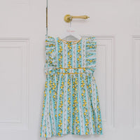 bb limon dress