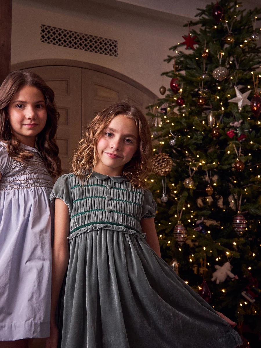 lurdes velvet dress