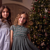 lurdes velvet dress