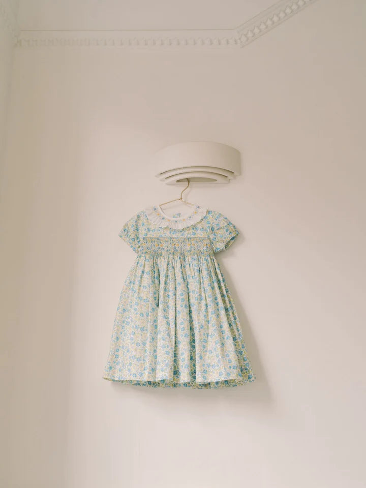 bb petra smocked dress