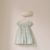 bb petra smocked dress