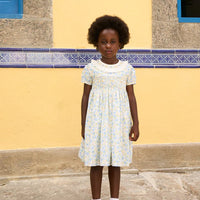 bb petra smocked dress