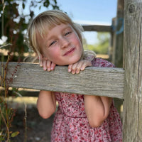 bb scarlett smocked dress