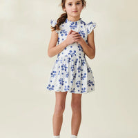 rita embroidered dress