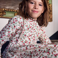 bb rosaura dress