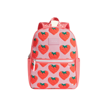 kane travel backpack