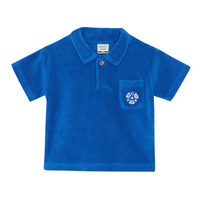 bb nivio polo