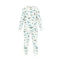 ls top & pant set