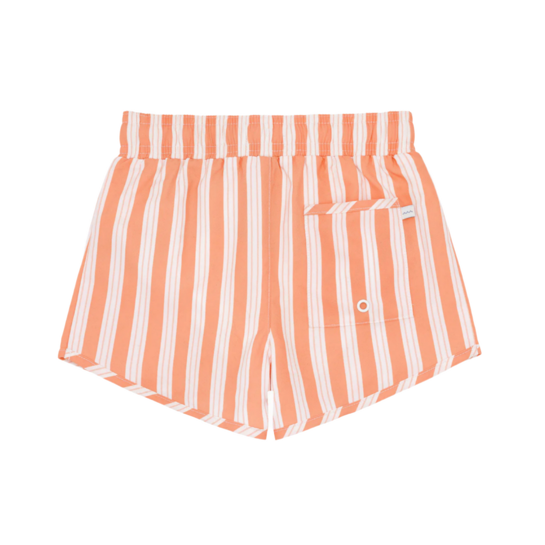 swizzle stripe boardie
