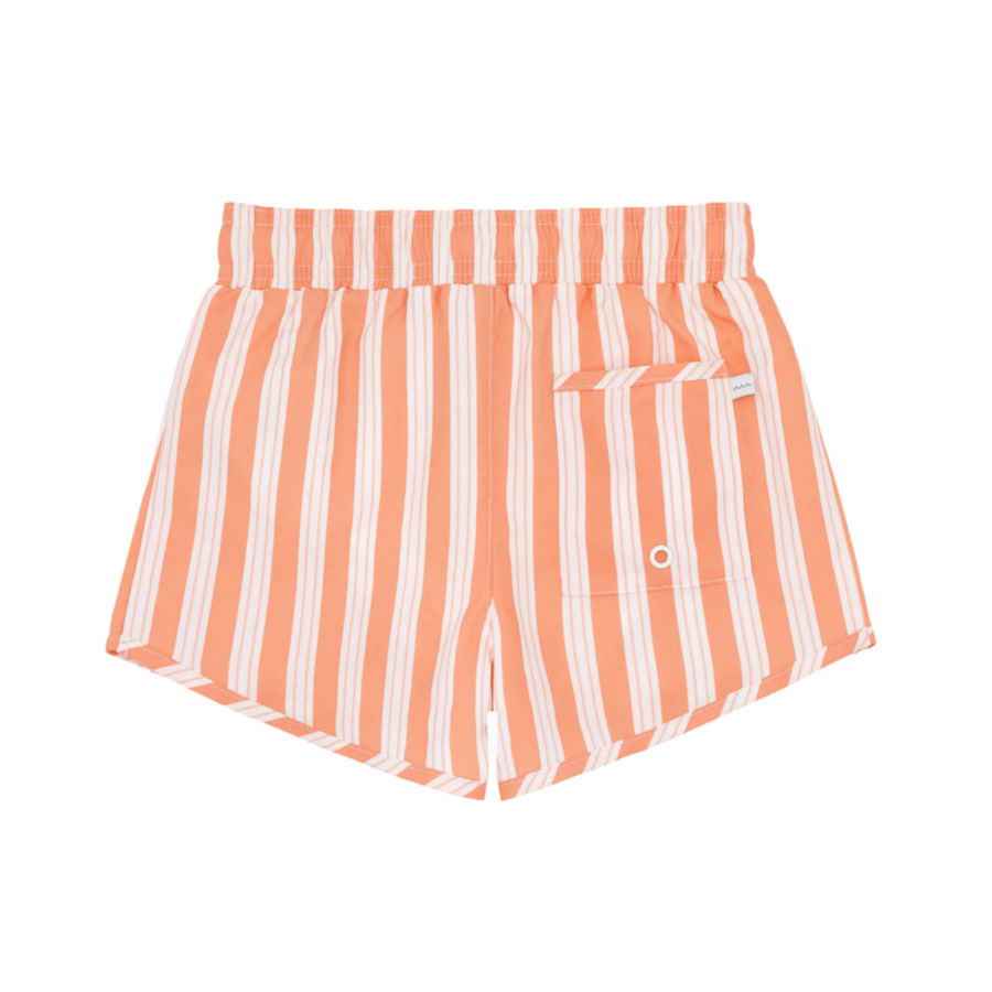 swizzle stripe boardie