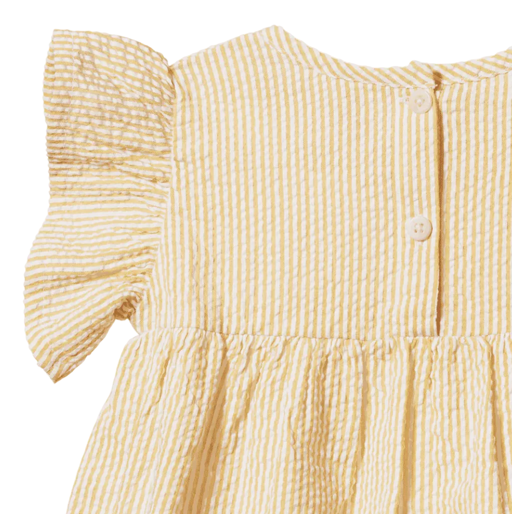 bb bonnie dress