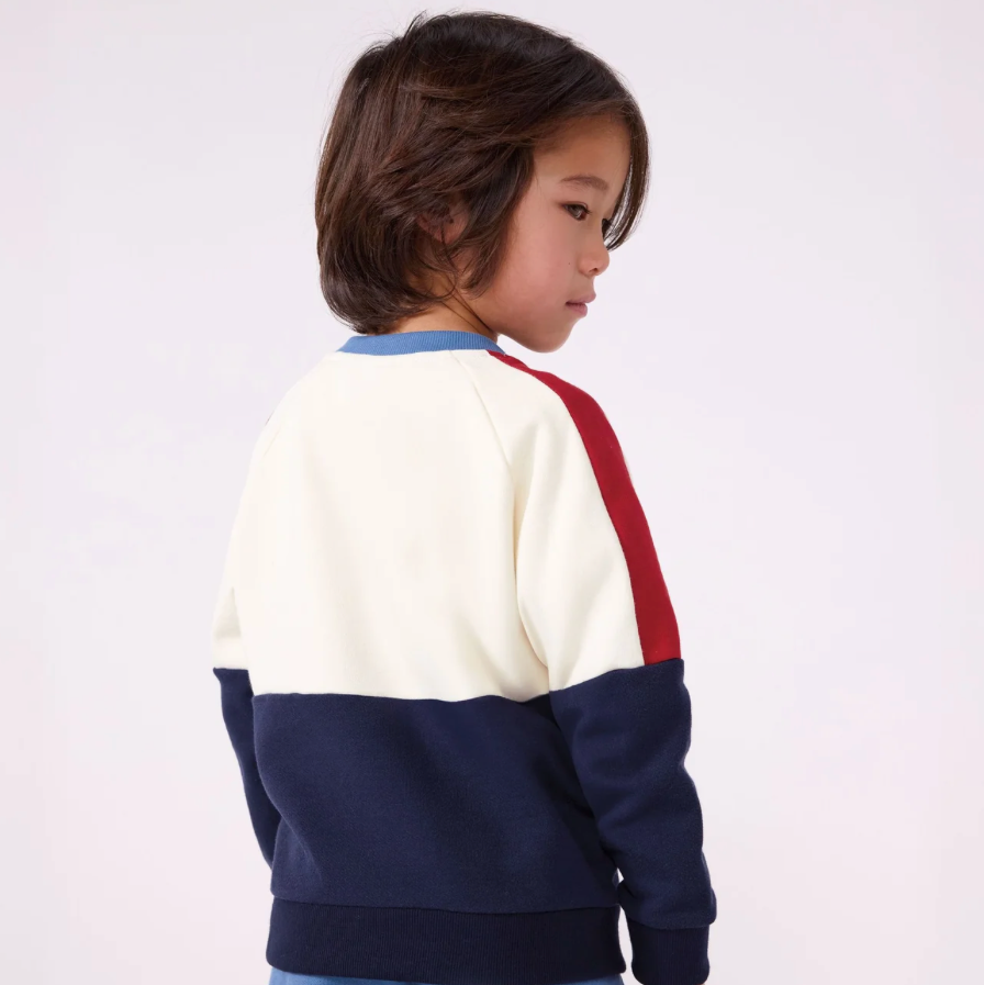 colorblock sweatshirt