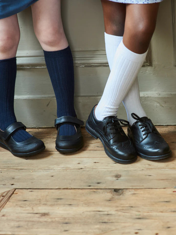 bb ribbed knee high socks