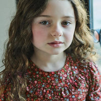 silvana smocked dress