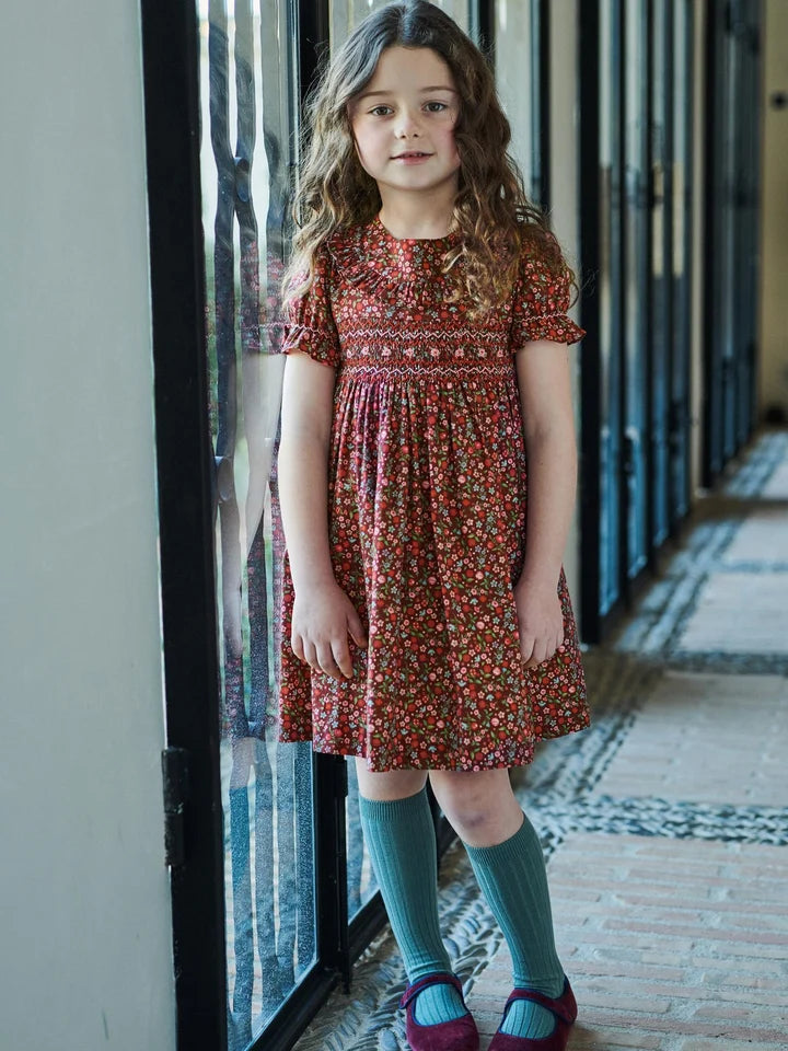 silvana smocked dress