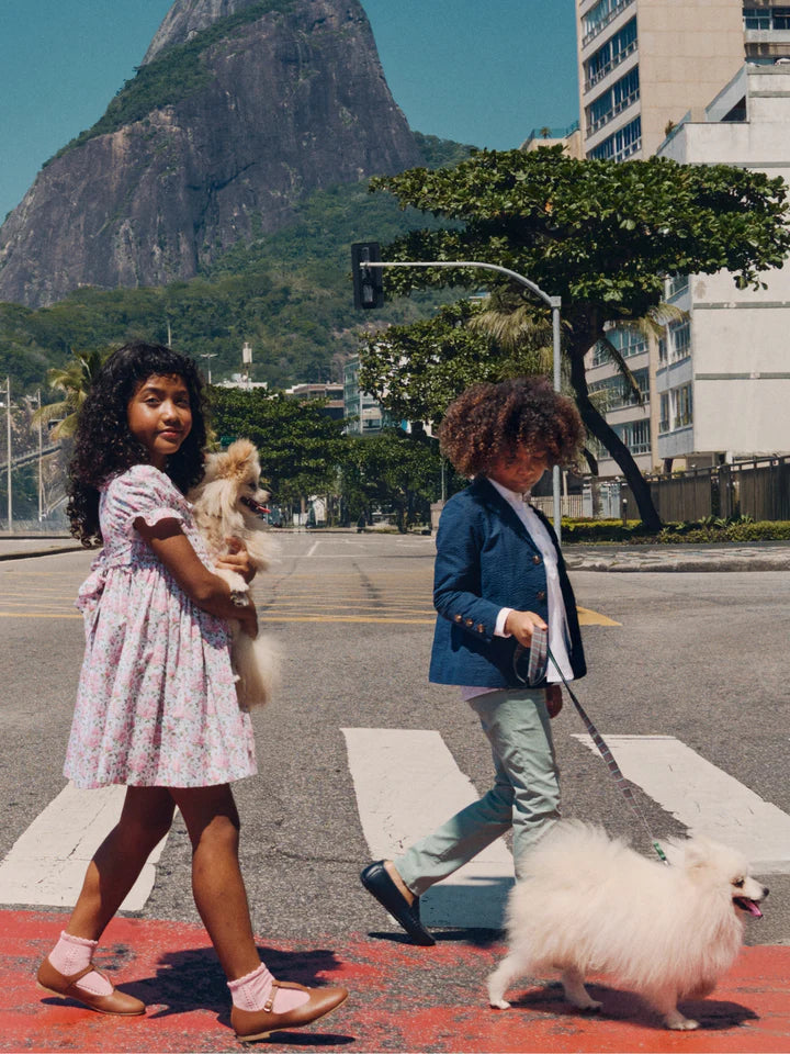 silvana smocked dress