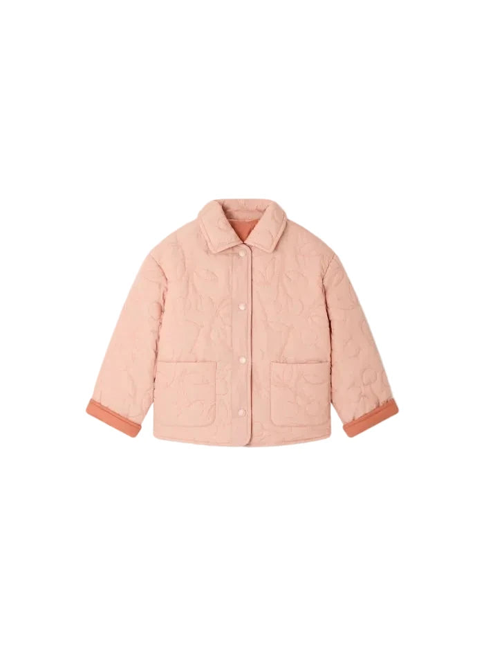 molly jacket