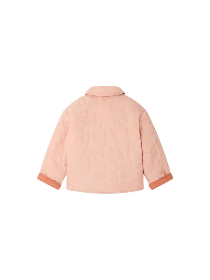 molly jacket