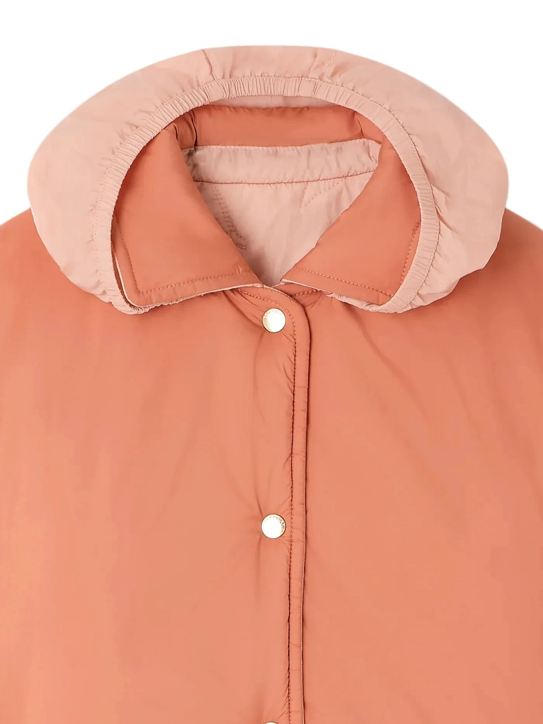 molly jacket