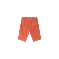 dandy pant