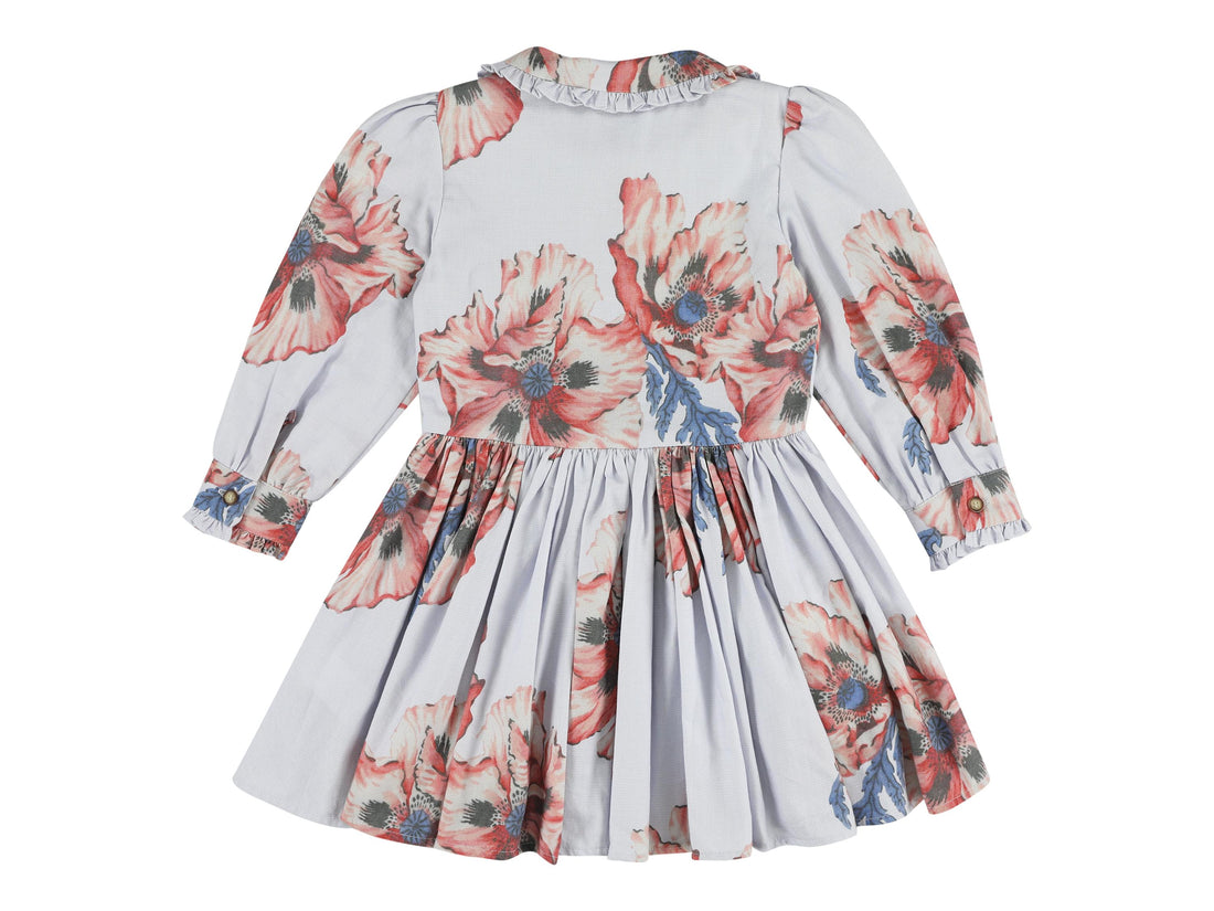 rio collared button front dress