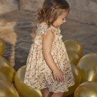 dress w/bloomer
