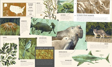 national parks of the usa book