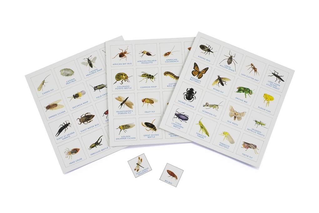 bug bingo