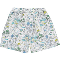 alexander swim trunks l.a dream