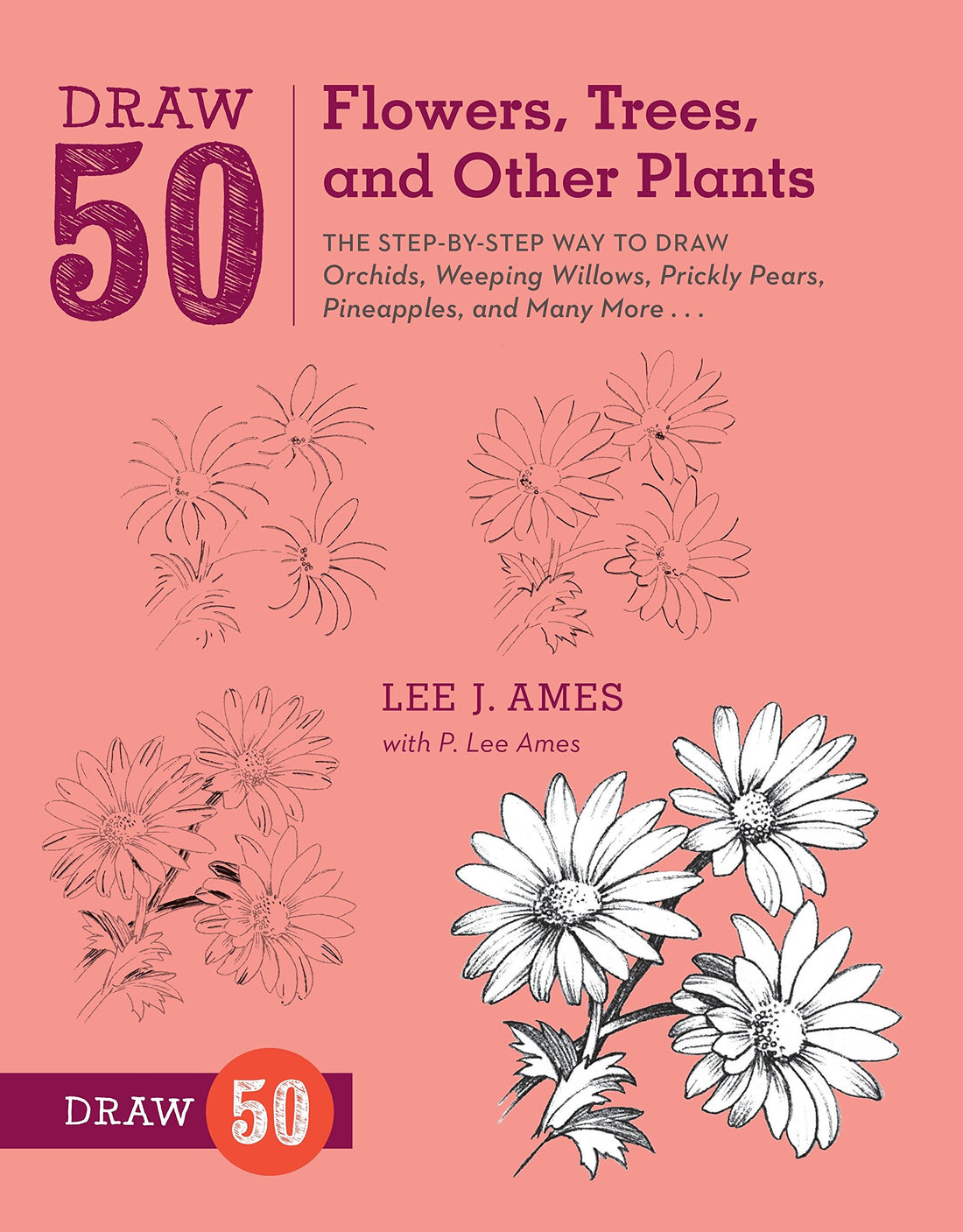 draw 50 flowers