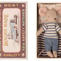 big brother mouse in box
