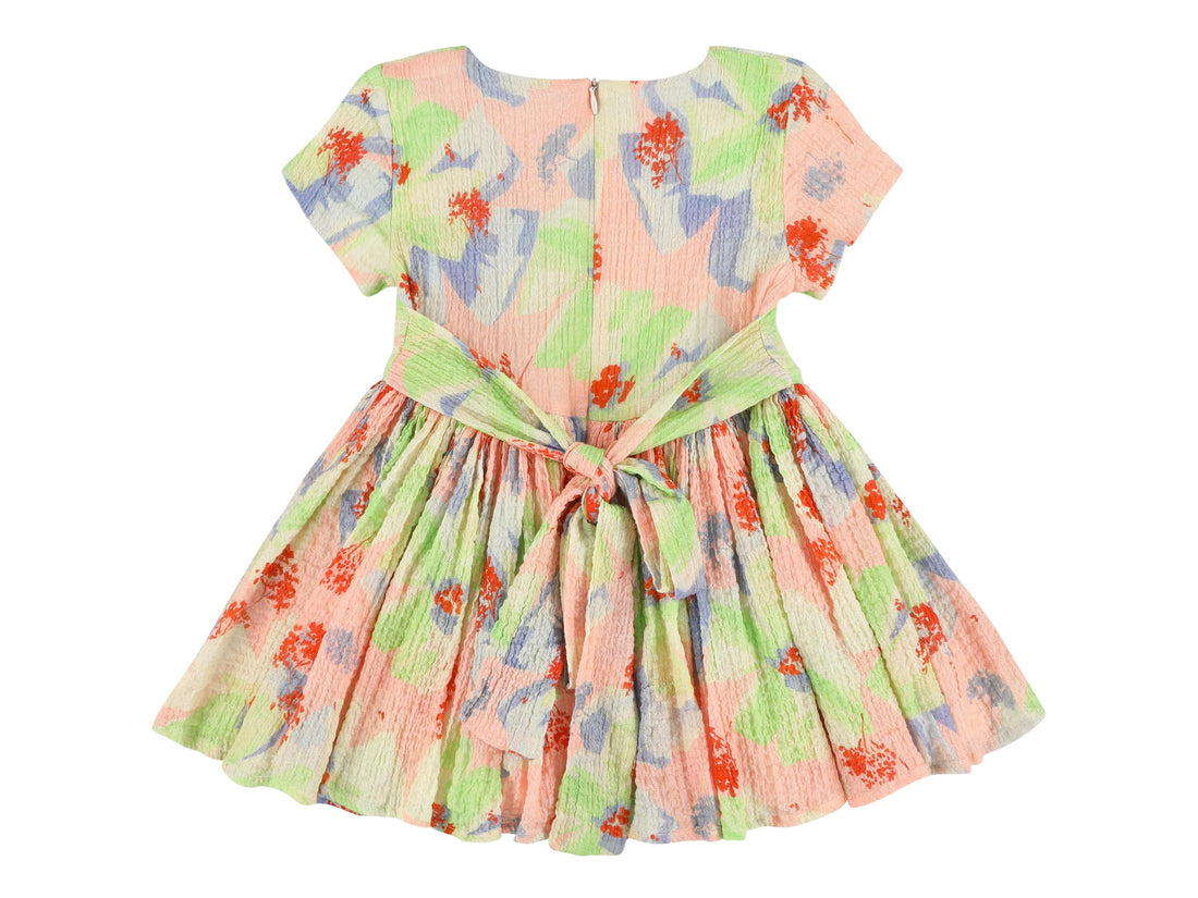 jelsa hibiscus dress