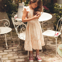 micheline dress pink