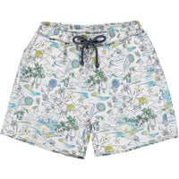 alexander swim trunks l.a dream