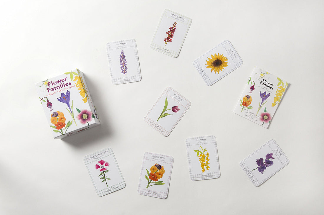 flower families: a go fish game