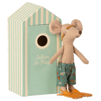 big brother beach mouse in cabin