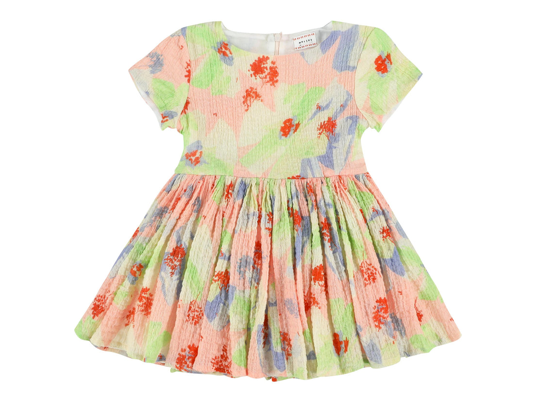 jelsa hibiscus dress