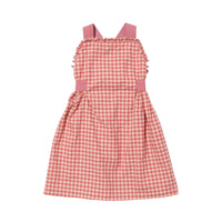 carolyn dress pink gingham