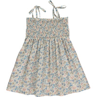 virginia dress vintage blue